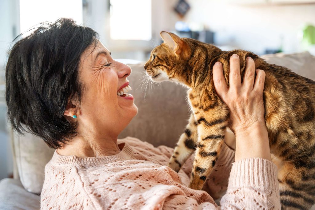 Ältere Katze liegt entspannt neben ihrer Bezugsperson.