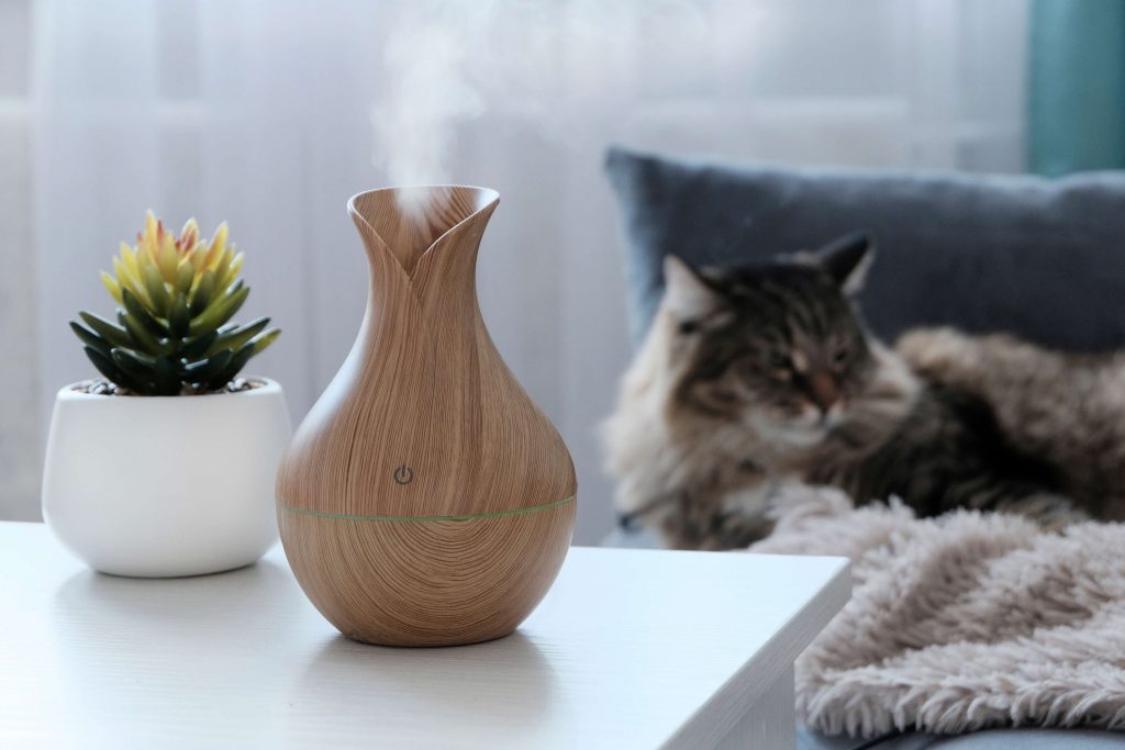 Luftbefeuchter auf einem Tisch, im Hintergrund liegt eine Katze entspannt auf dem Sofa – feuchte Raumluft als unterstützende Maßnahme bei Erkältung