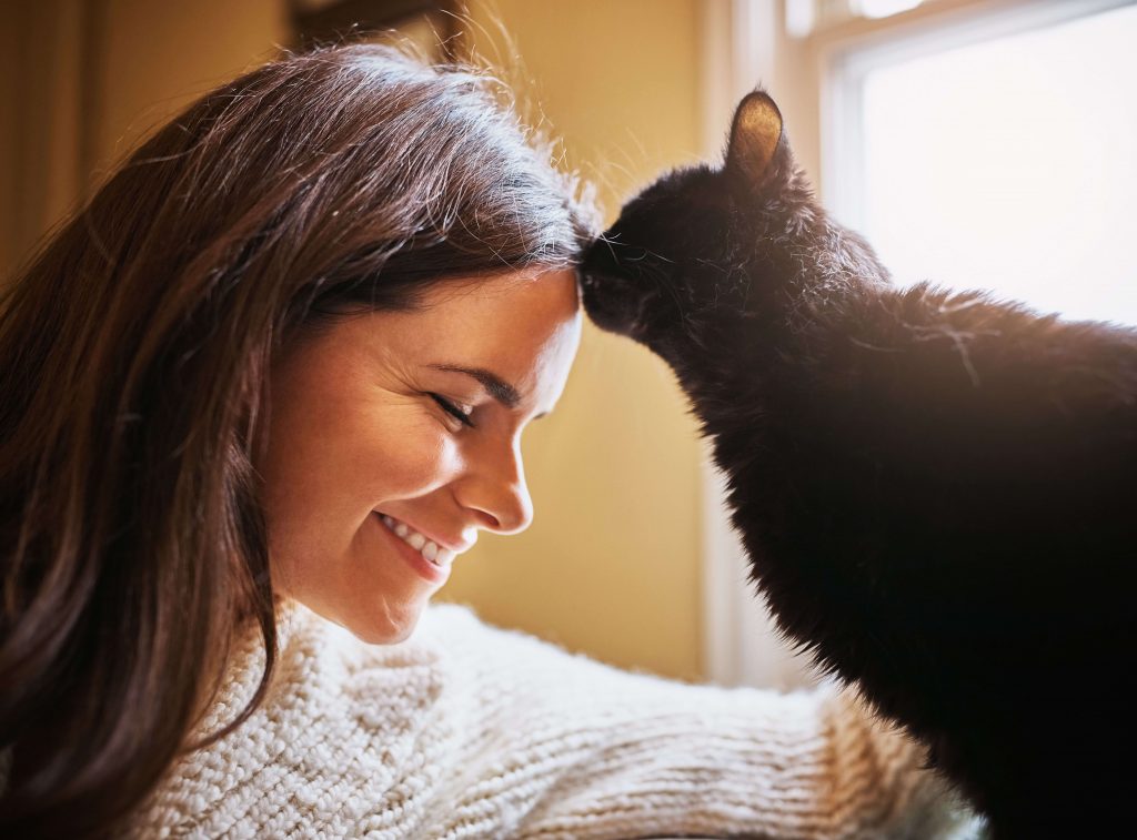 Frau berührt liebevoll die Stirn einer schwarzen Katze in einem vertrauten Moment