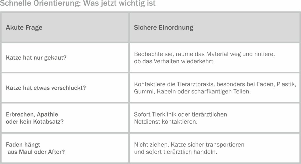 Tabelle mit schneller Orientierung zum Pica-Syndrom bei Katzen: Kauen, Verschlucken, Erbrechen und Fäden mit empfohlener Handlung.