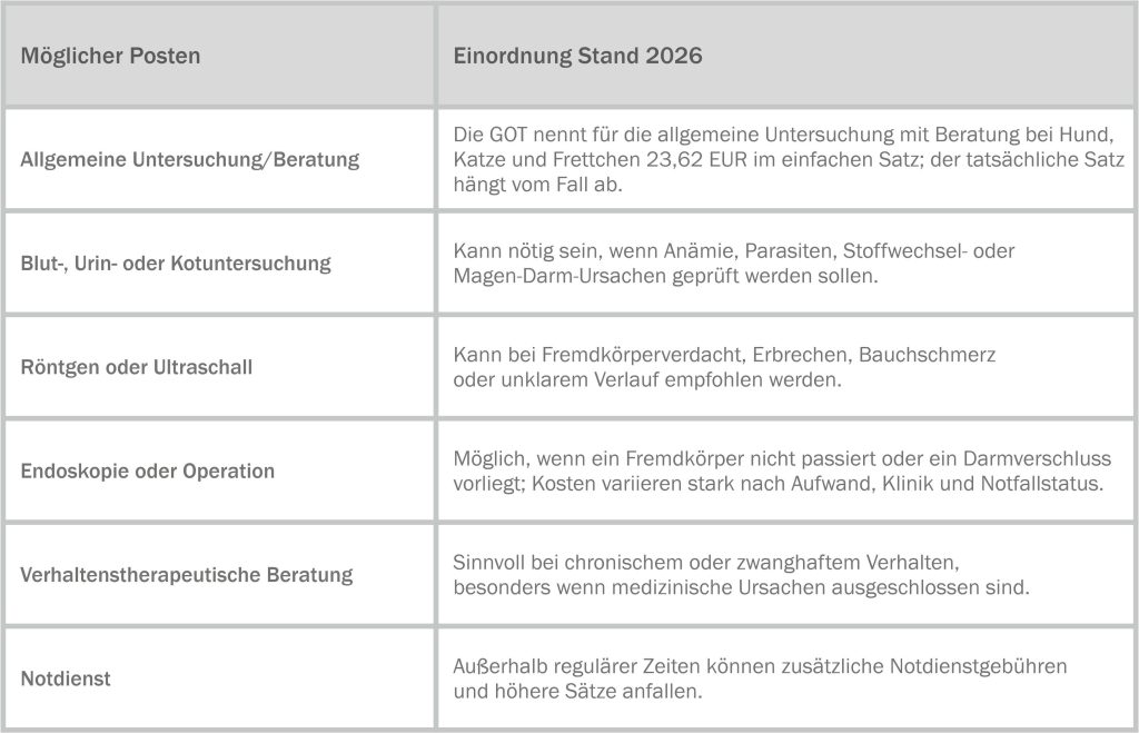 Tabelle zur Kosten-Transparenz bei Pica-Syndrom, Fremdkörperverdacht und Diagnostik mit möglichen Posten wie Untersuchung, Labor, Bildgebung, Operation, Verhaltenstherapie und Notdienst.